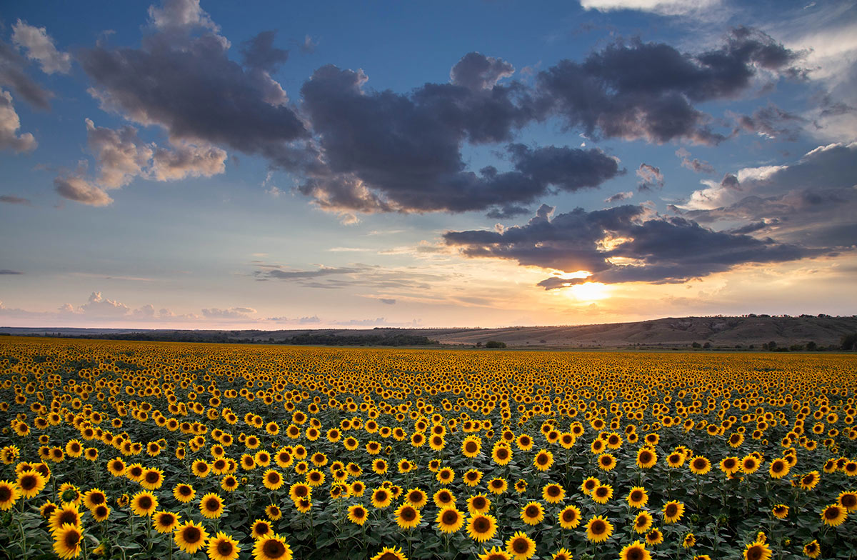 Немного лета