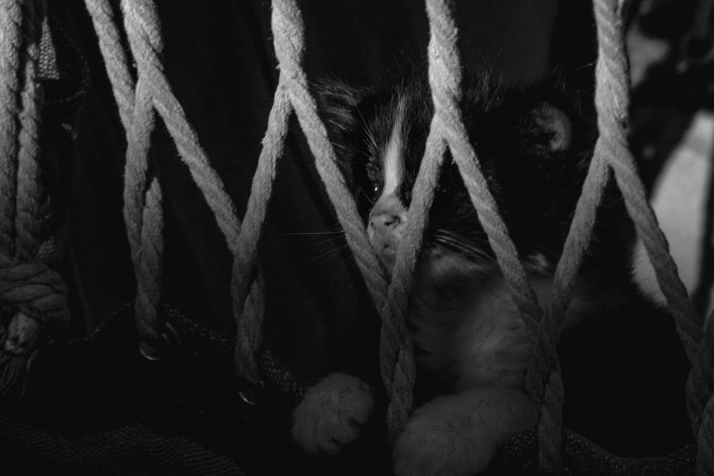 Жизнь вокруг