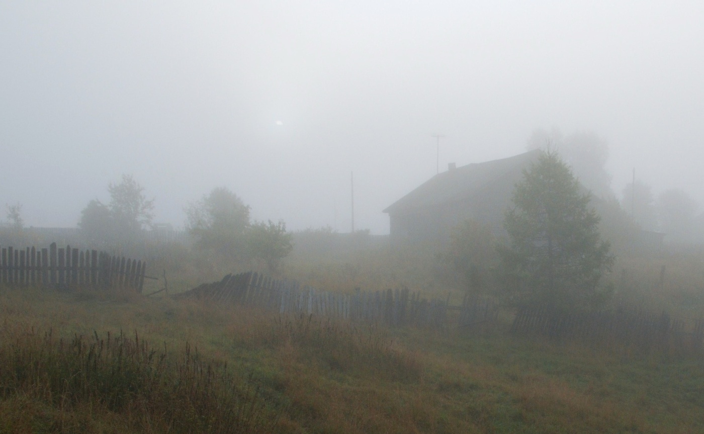 "Закричал петух, хрипло вытягивая последнюю ноту..."