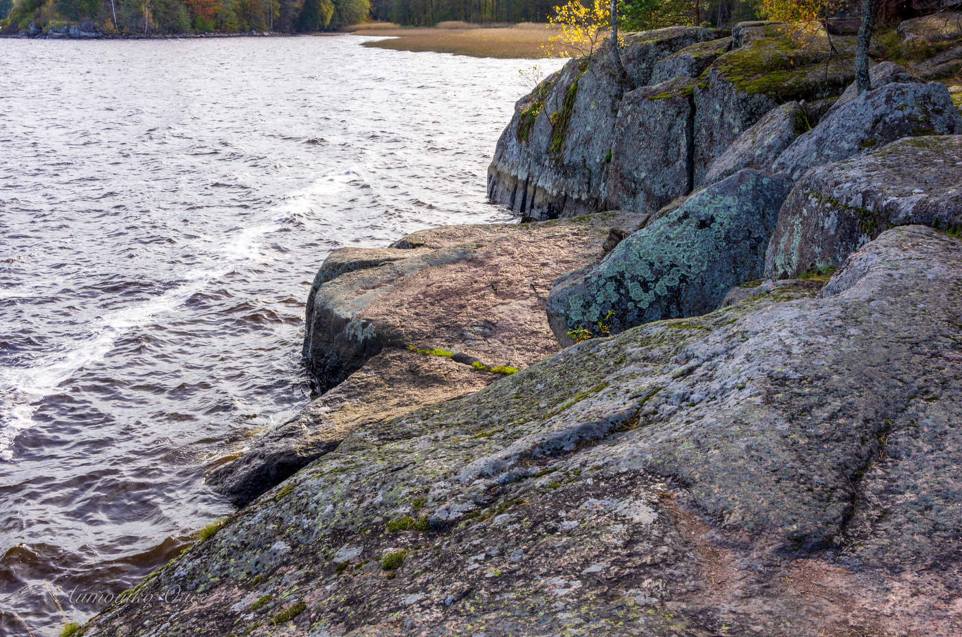 Парк "Монрепо". Выборг.
