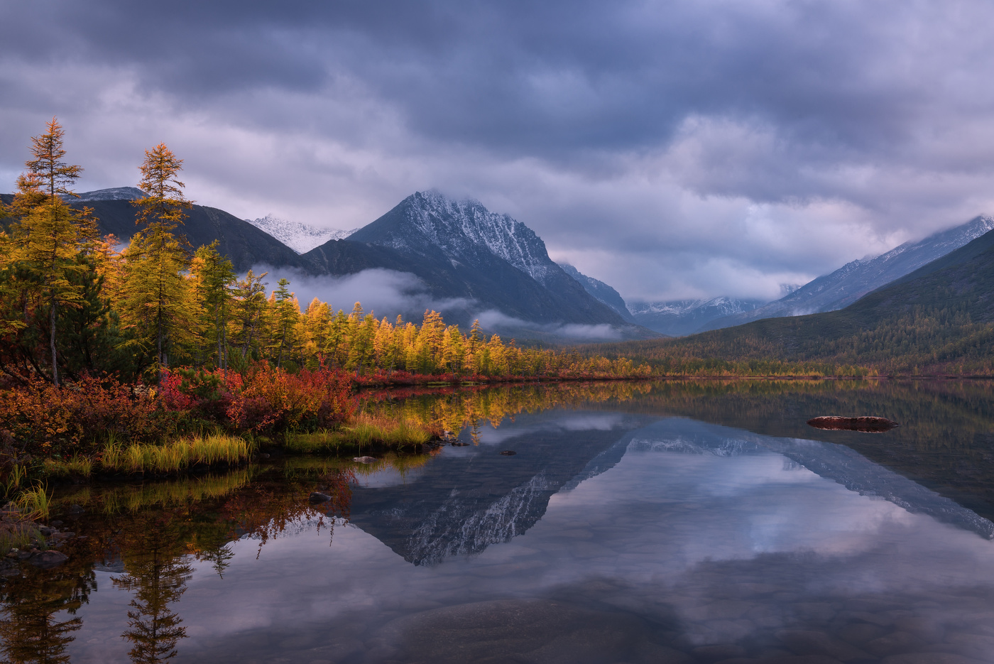 Звуки тишины...