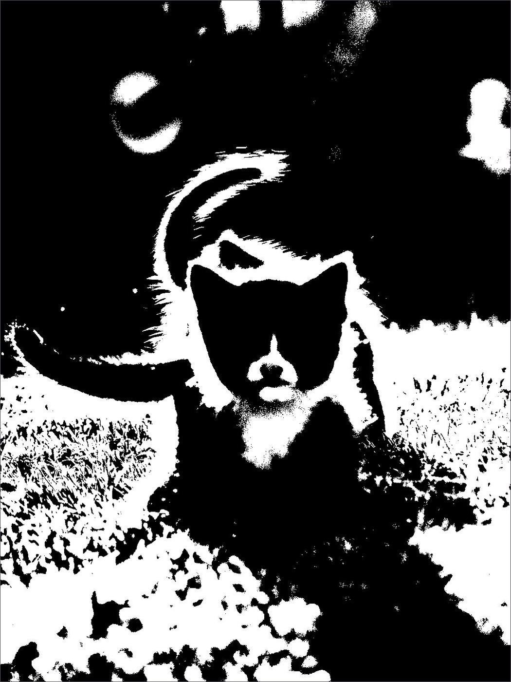 Жизнь вокруг