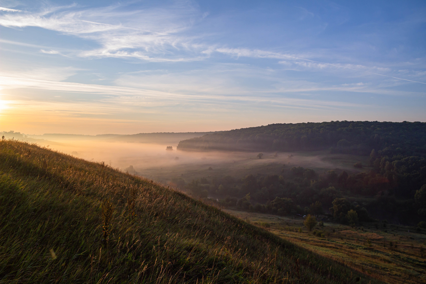 Утренний туман