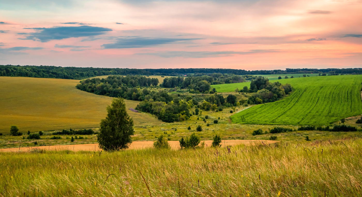 Среди полей и отблесков заката.