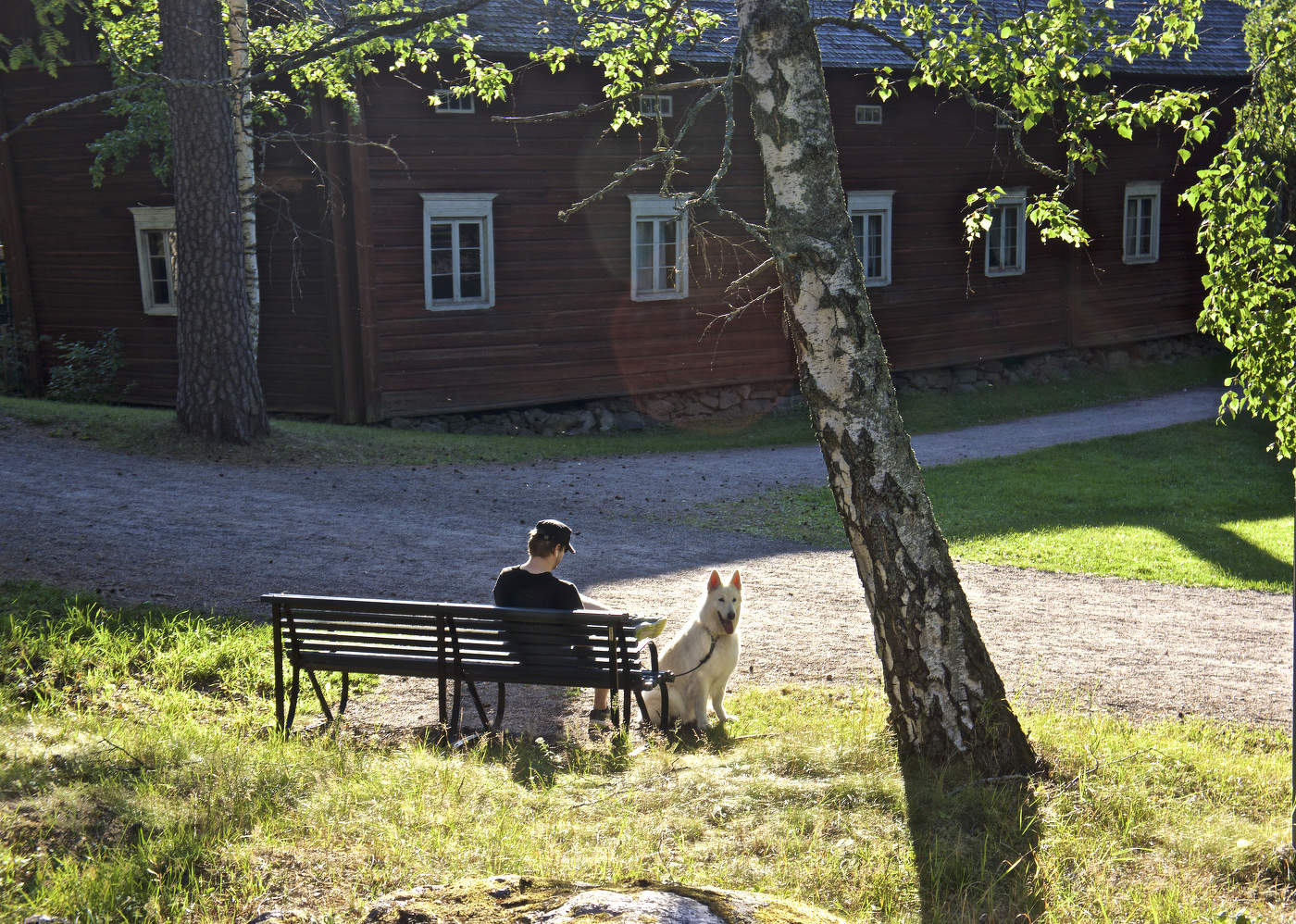 На вечернем летнем солнышке