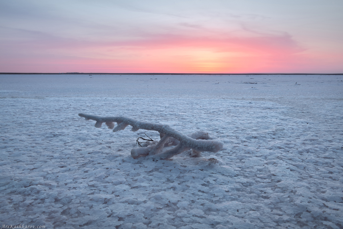 "Солевой коралл"