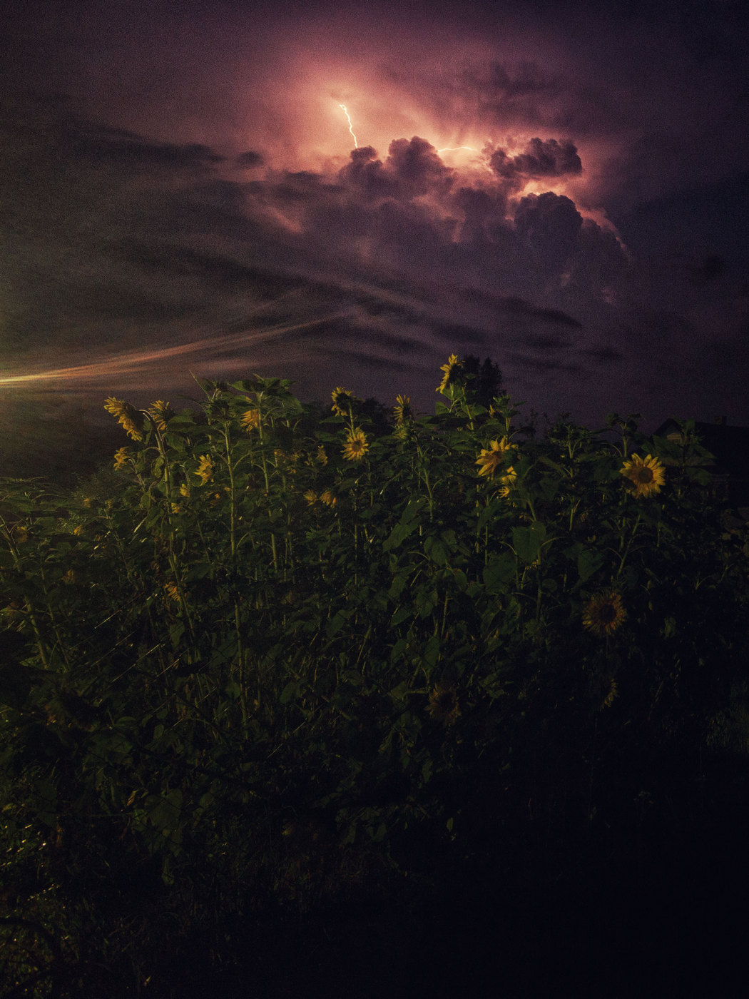 Жизнь вокруг