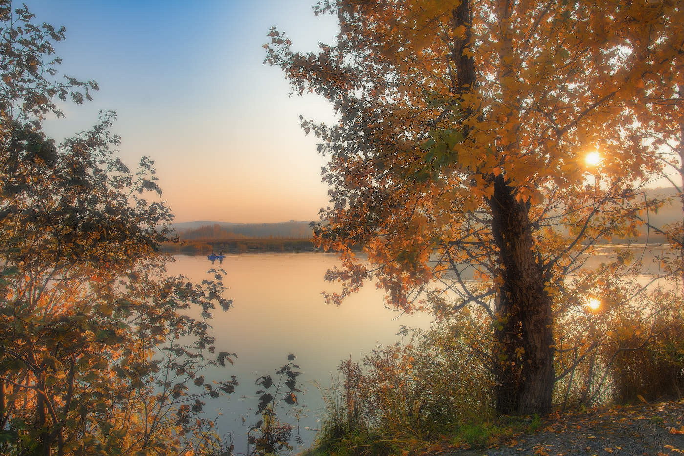 Природа подарила "бабье лето"