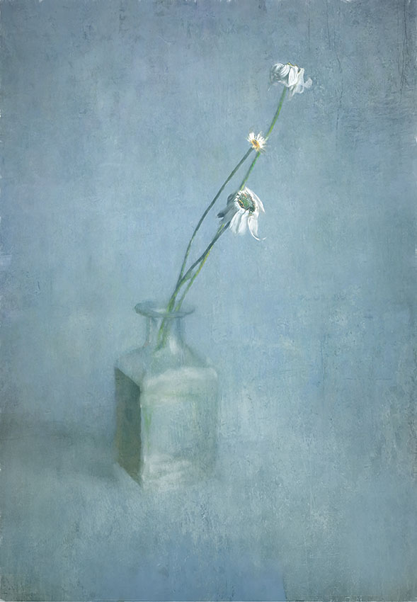 ромашки (финал)