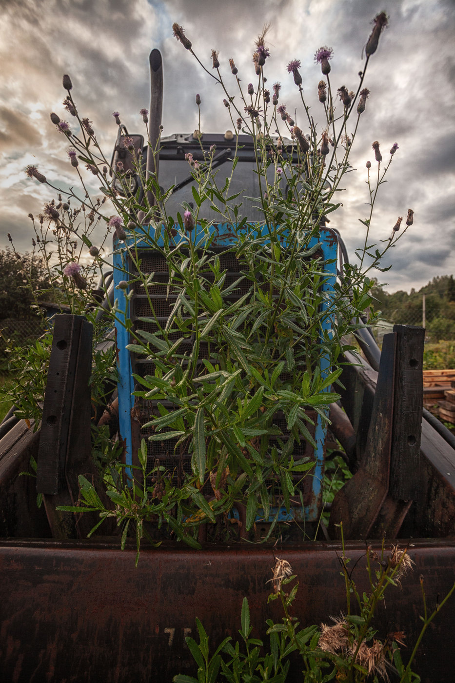 Жизнь вокруг