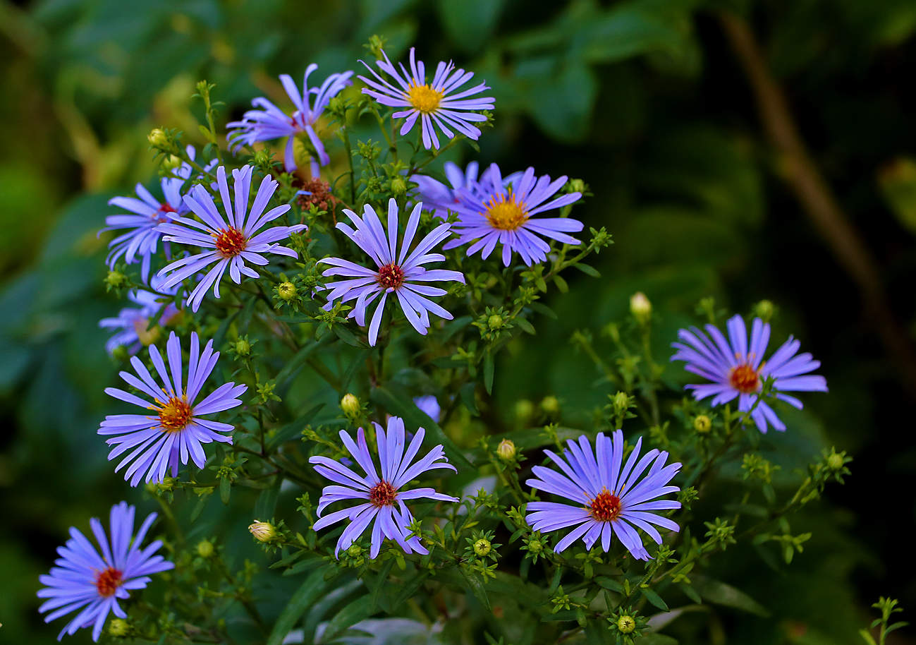 Августовские сентябринки