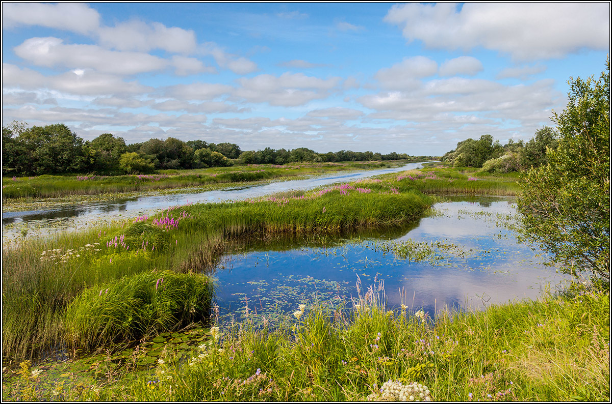 Последний день июля.