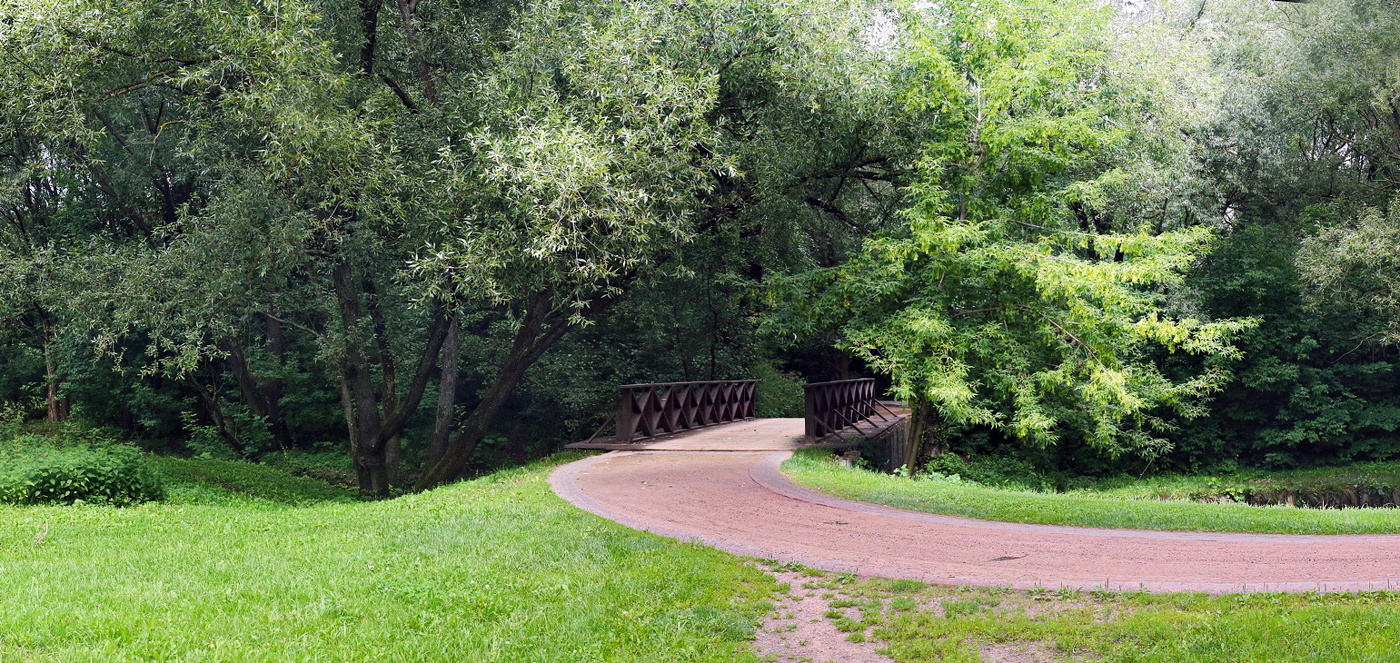 Из серии Царицынские мостики