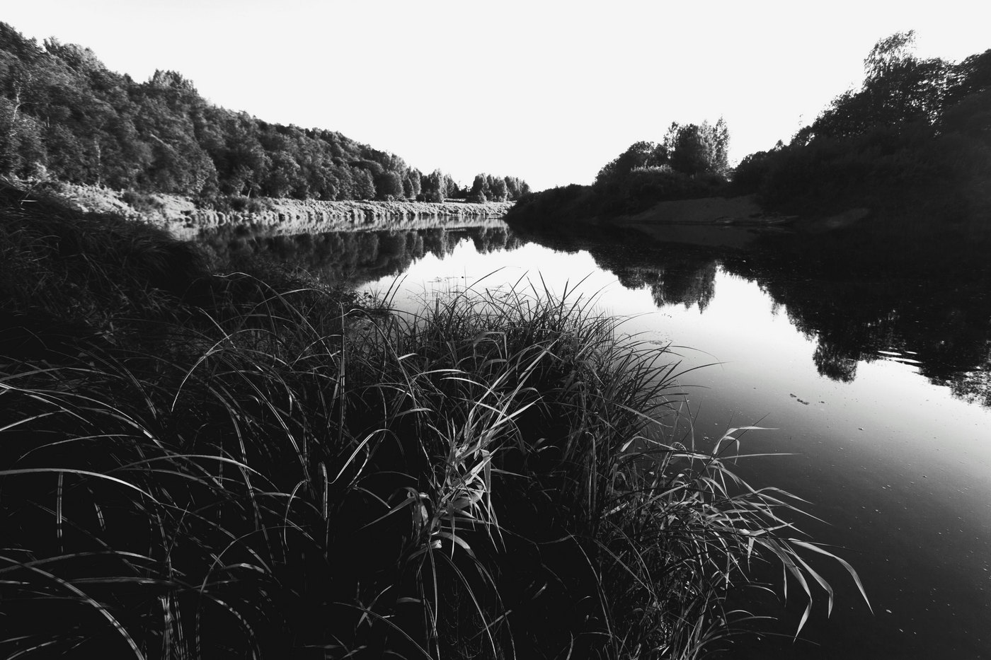 Жизнь вокруг