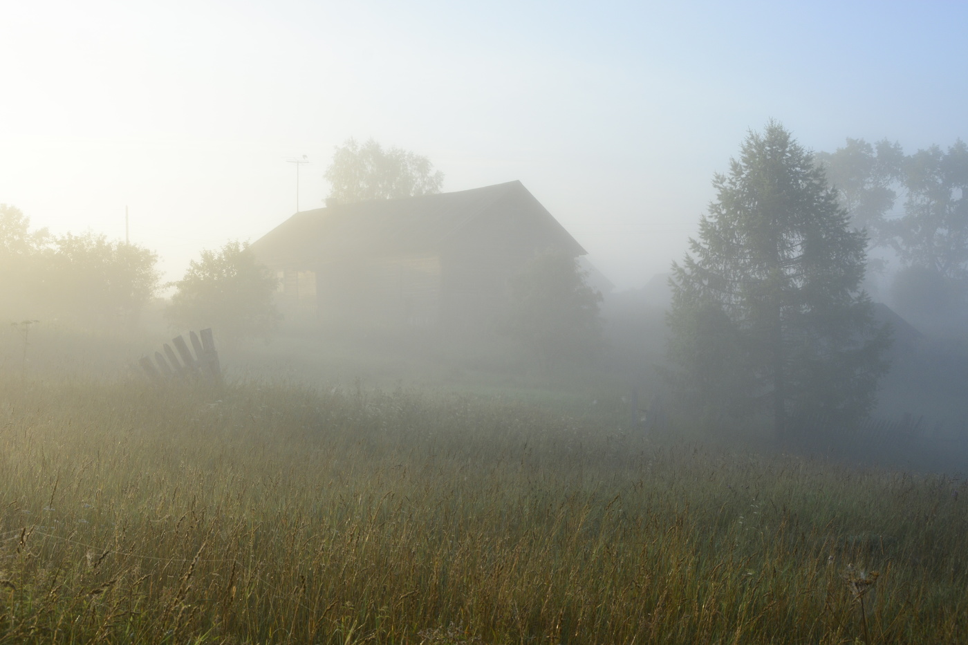 "Петух запевает... светает... пора..."