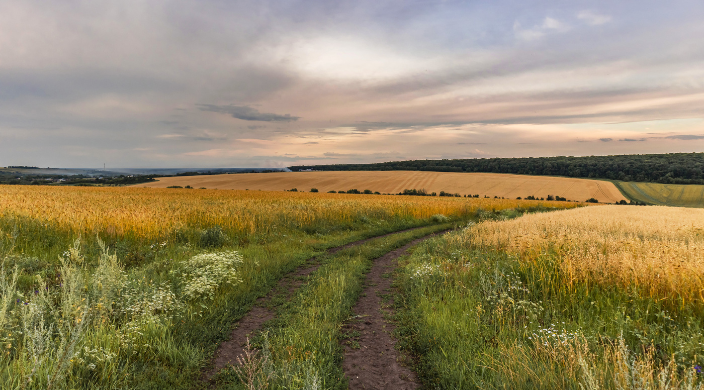 Полями летними.