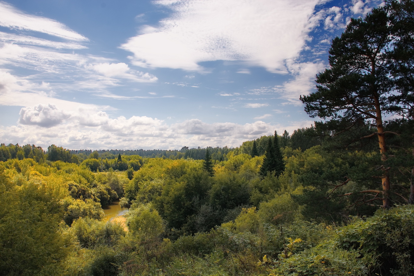 Августовские дали.
