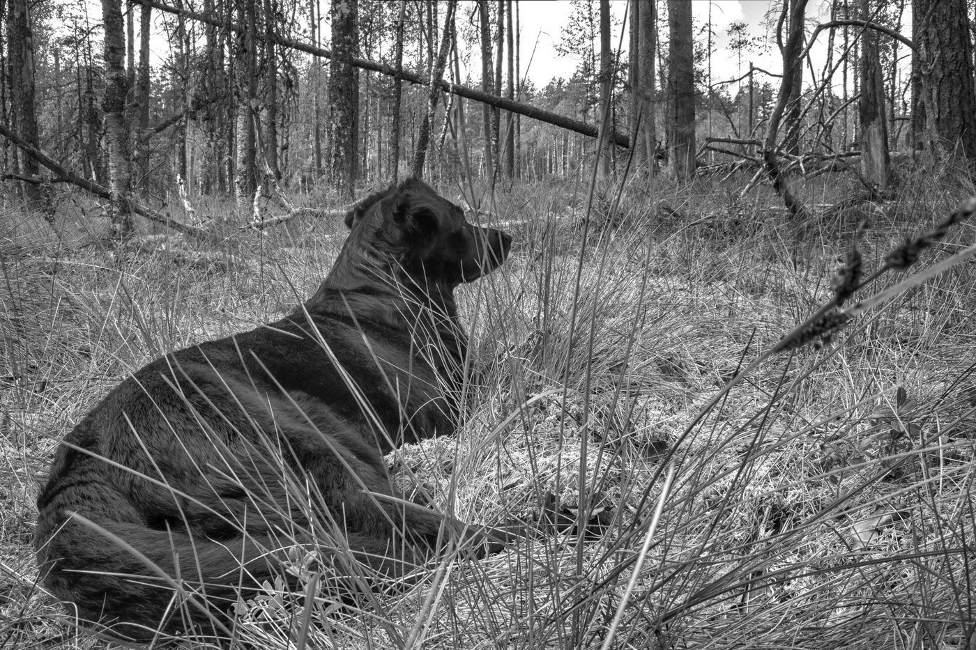 Жизнь вокруг