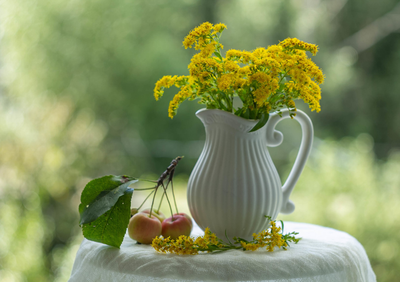 Золотарник