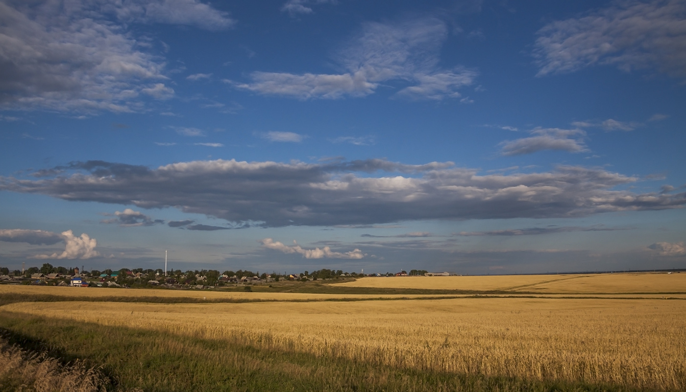Время урожая