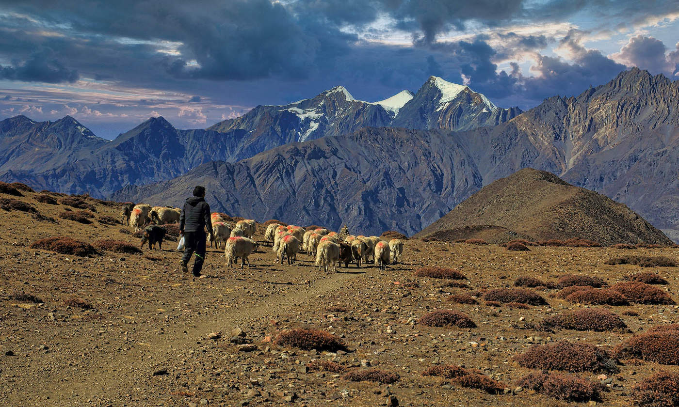 На перевале