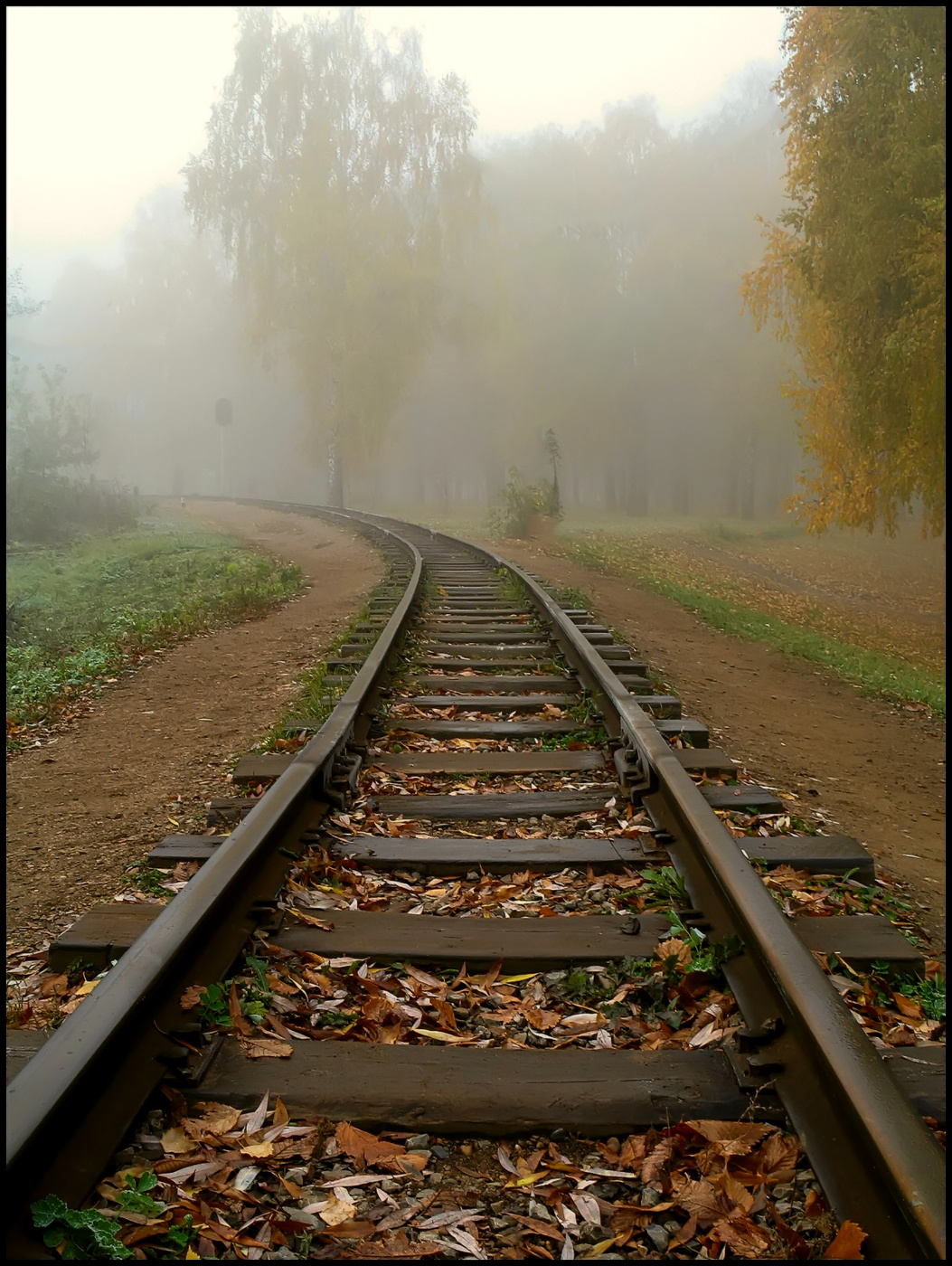 А я еду за туманом...