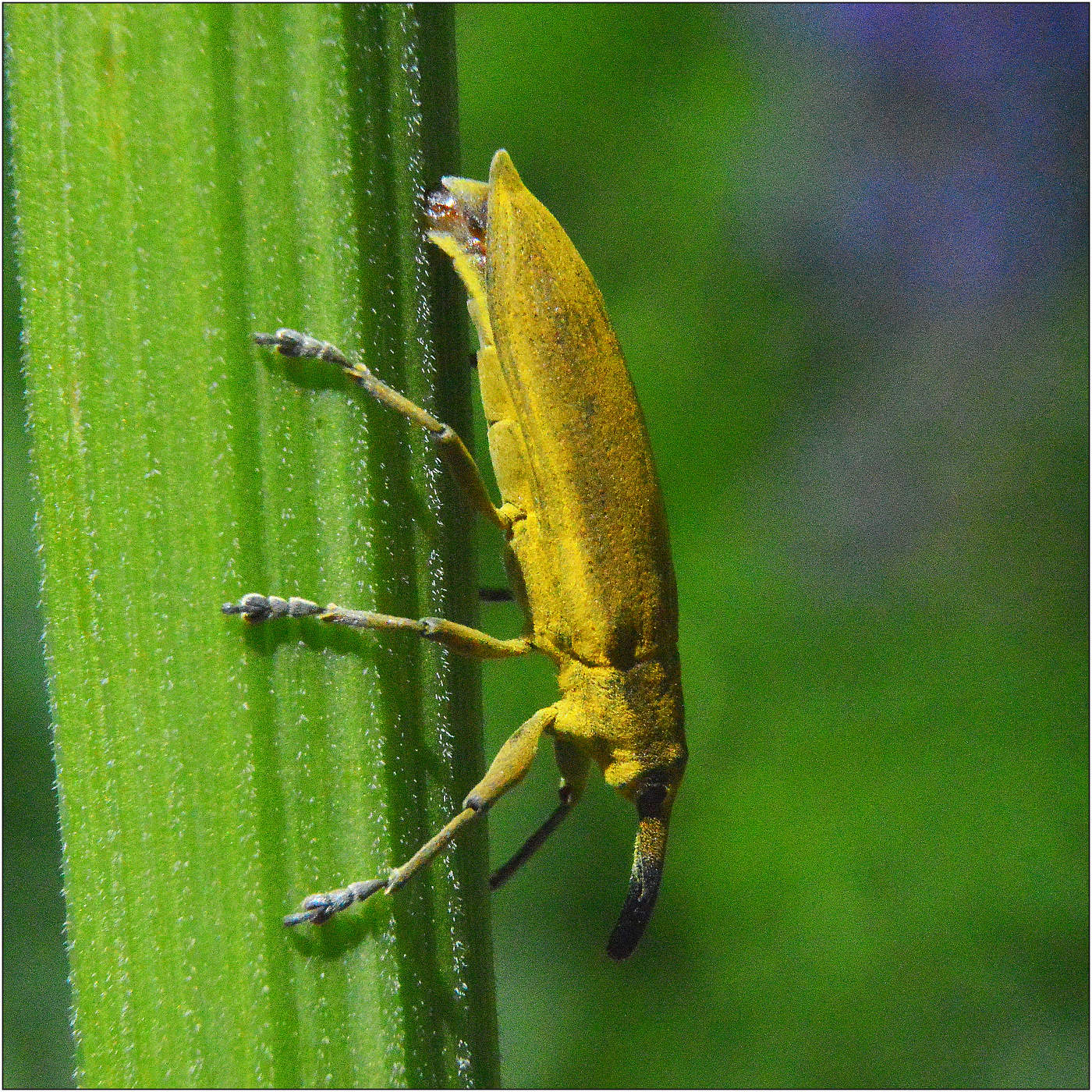 Дело всей жизни.
