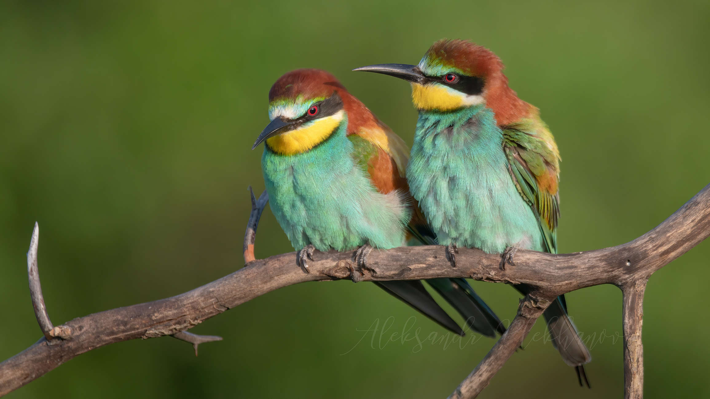 Сидим, никого не трогаем...