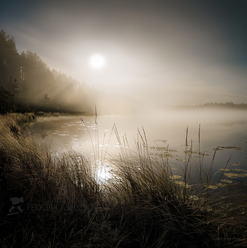 Чарующее полнолунье