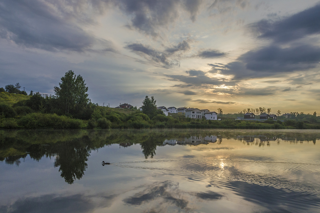 Одинокая утка рассвета