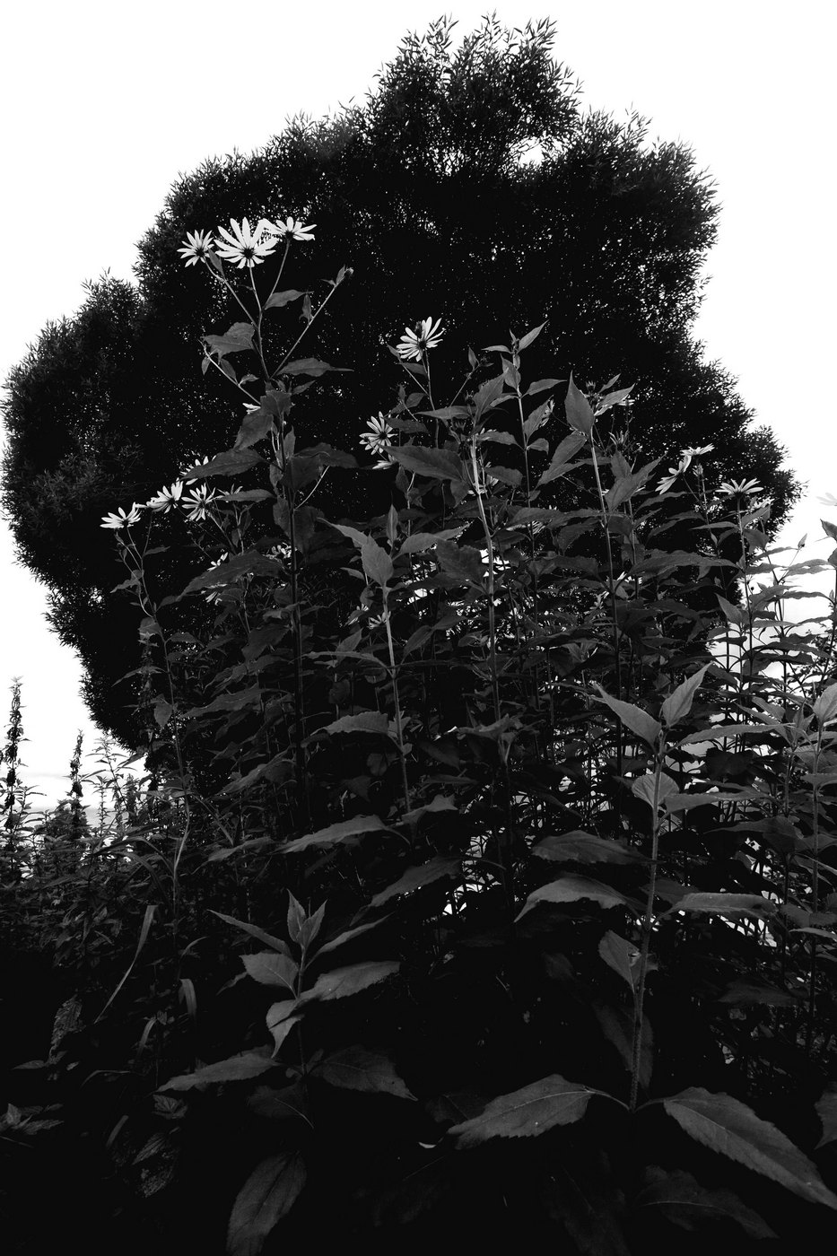 Жизнь вокруг