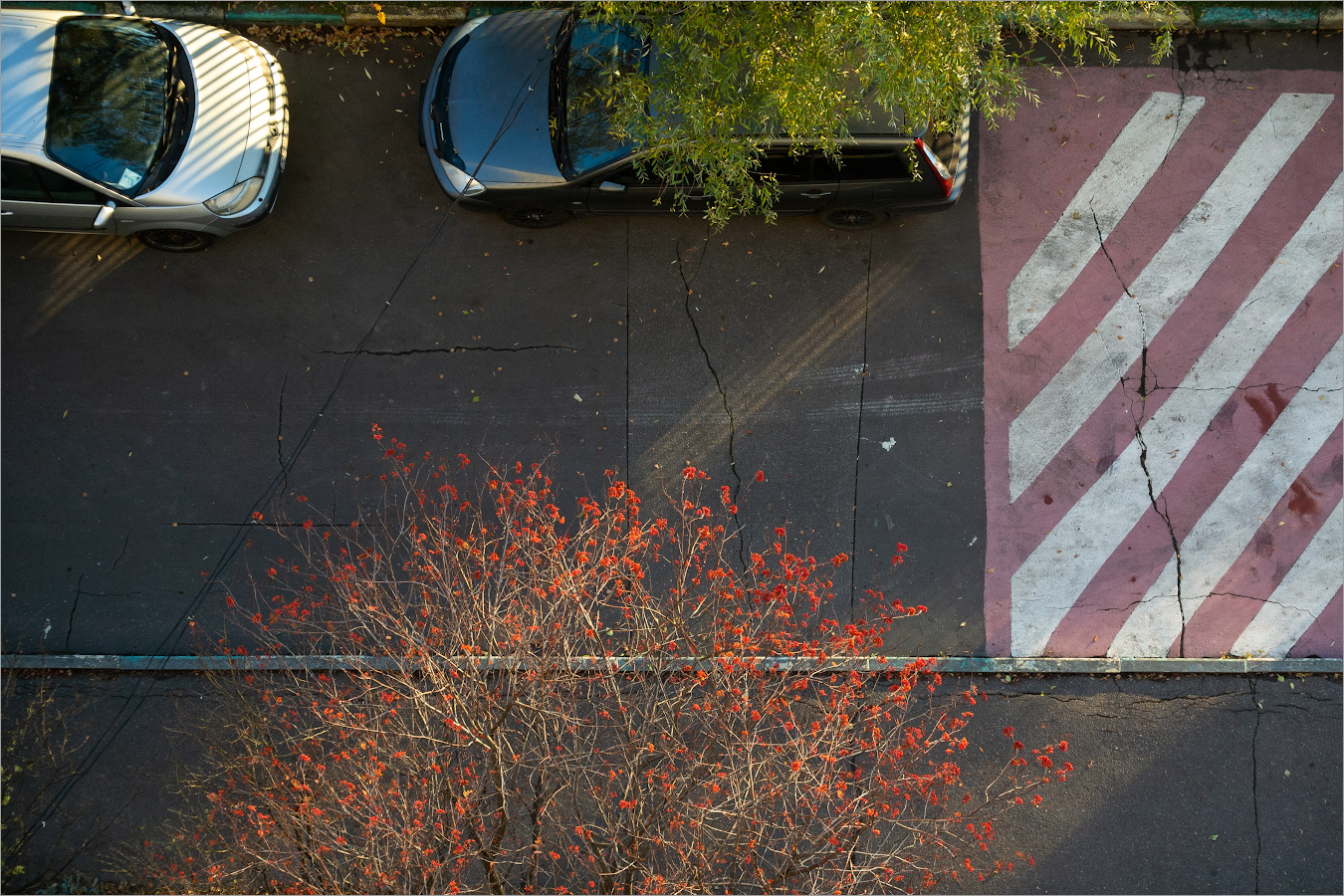 красныйжелт