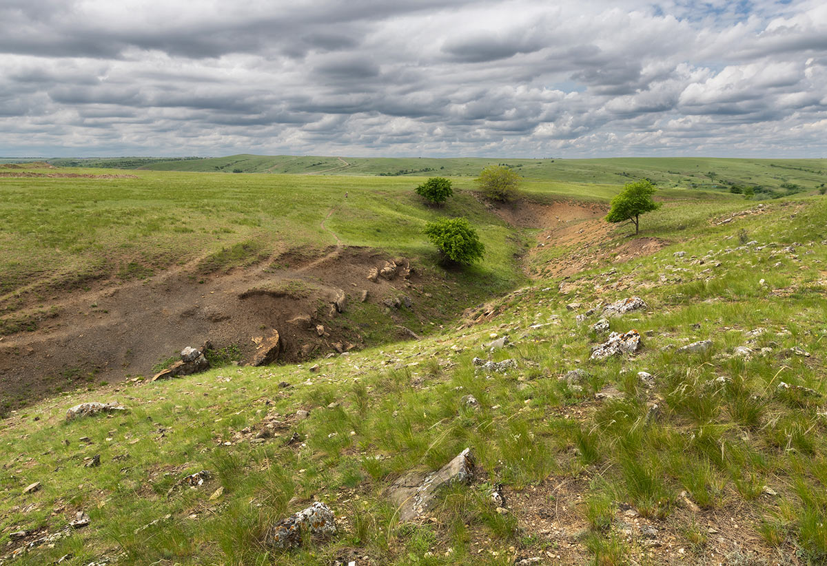 Хороший денёк