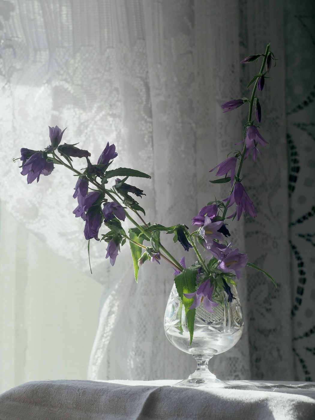 Zärtlichkeit der Natur