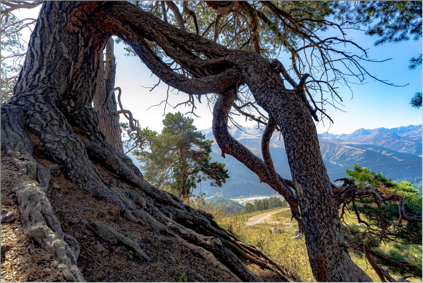 Непобежденное