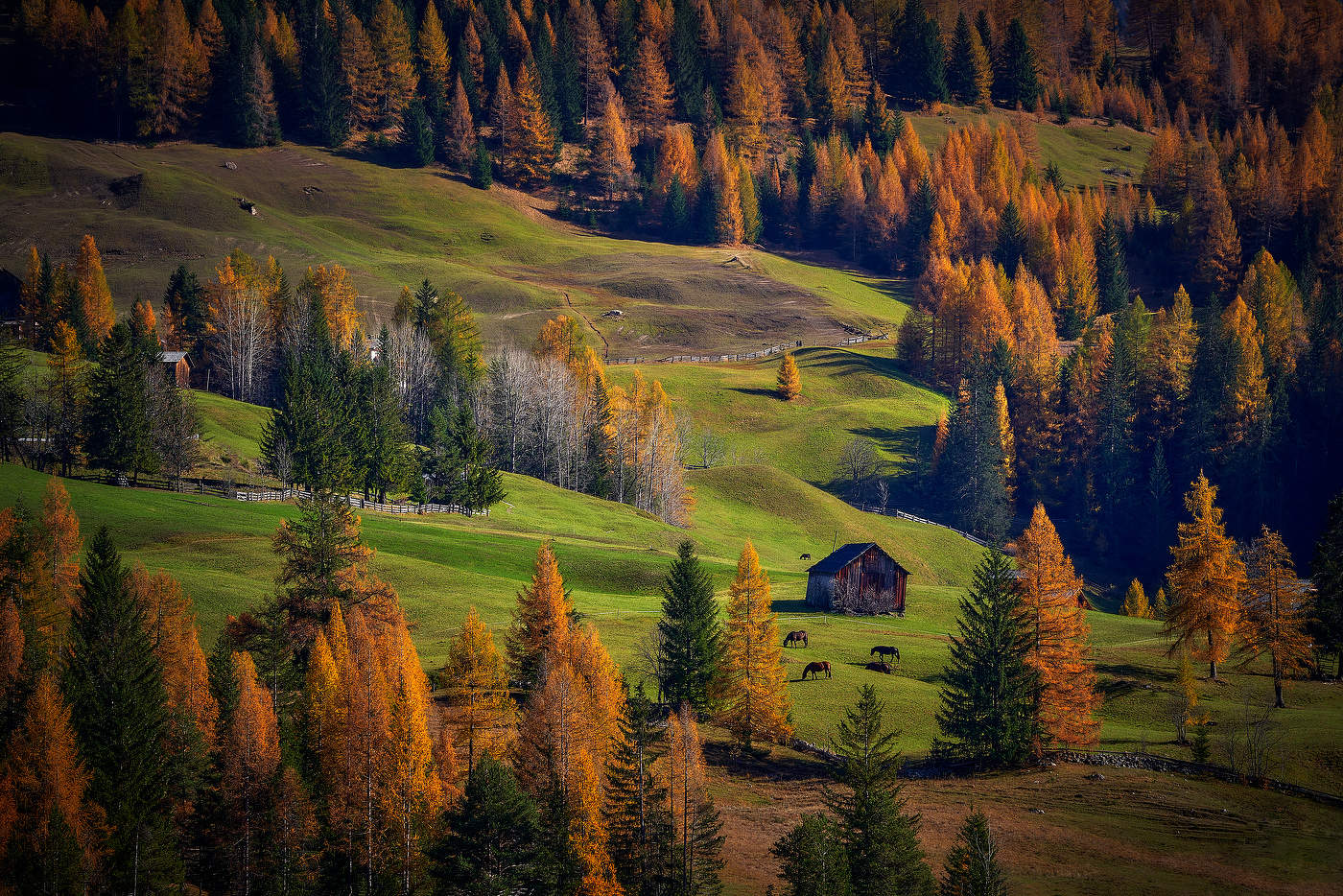 Цвета Осени...