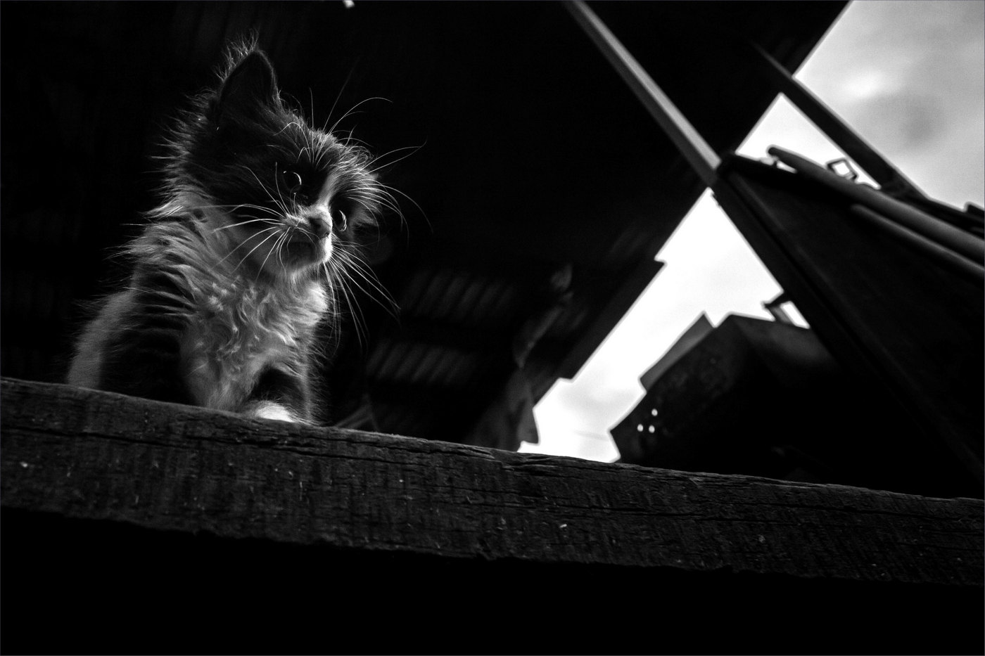 Жизнь вокруг