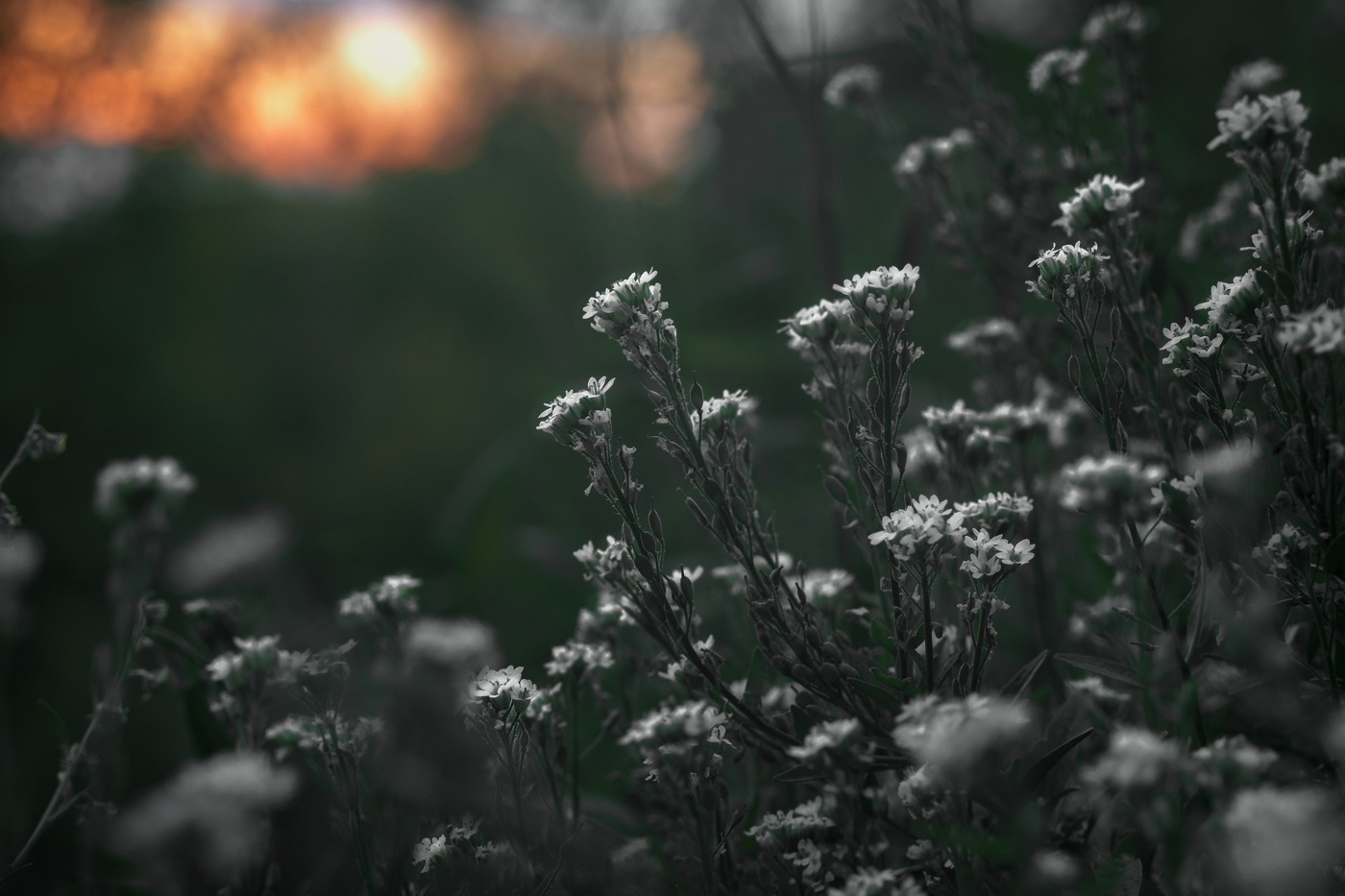 Августовская прохлада...