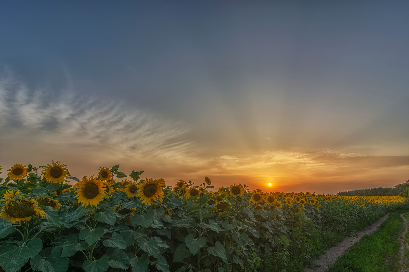 отвернулись...