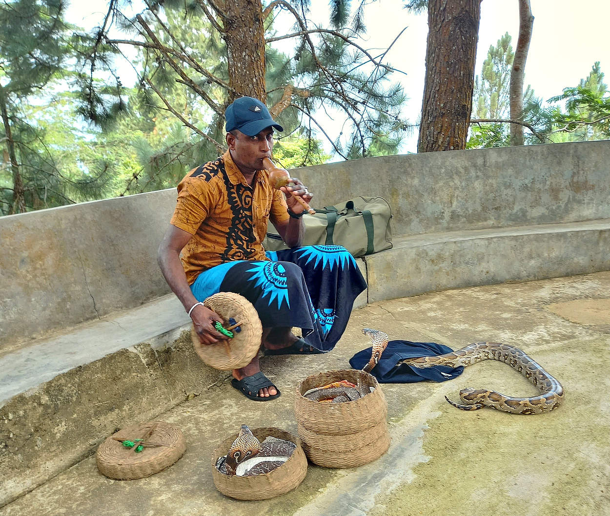 Заклинатель змей