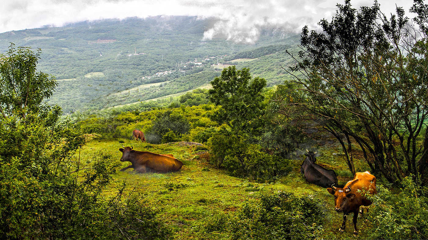 Горное село