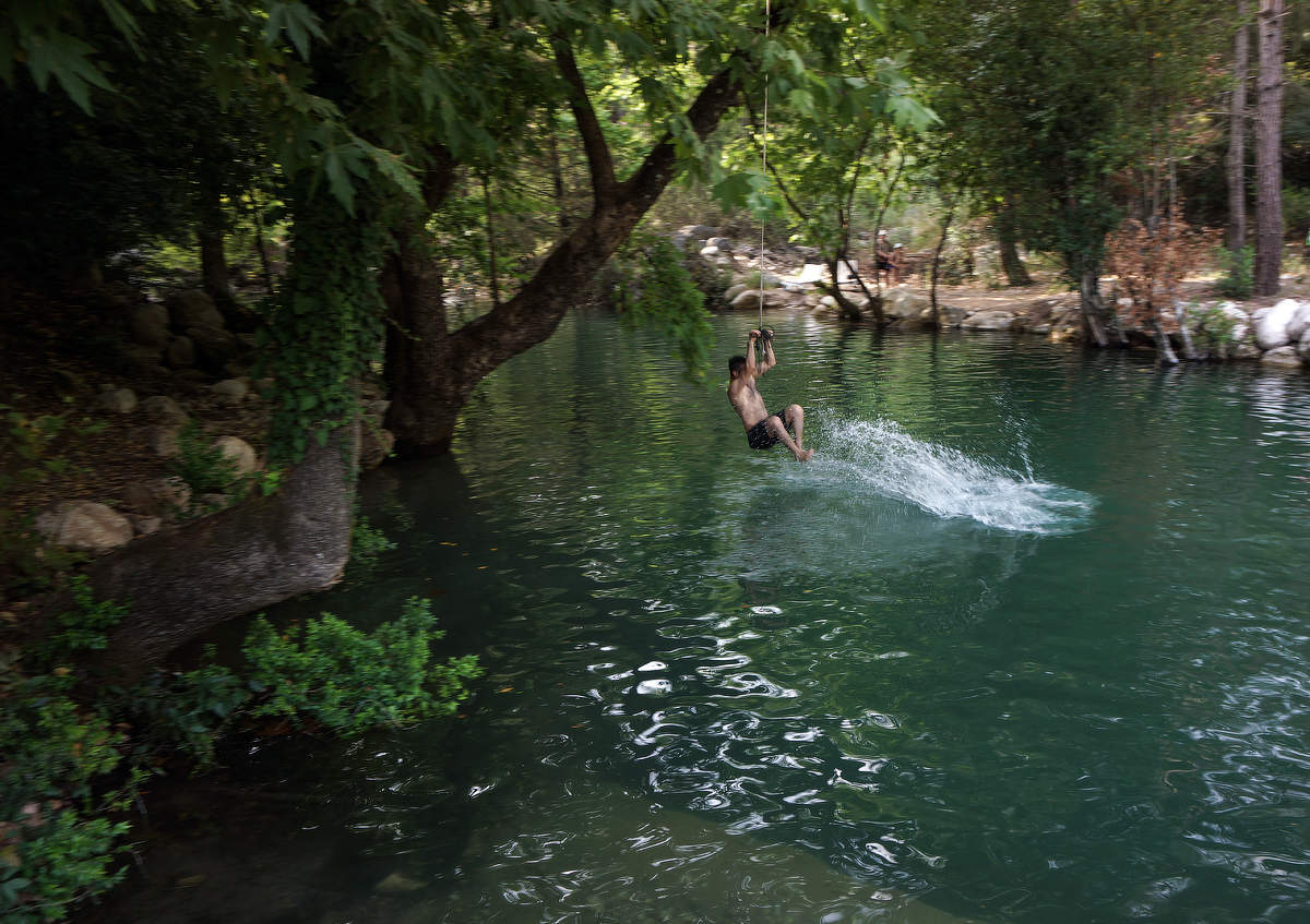 спасаясь от жары