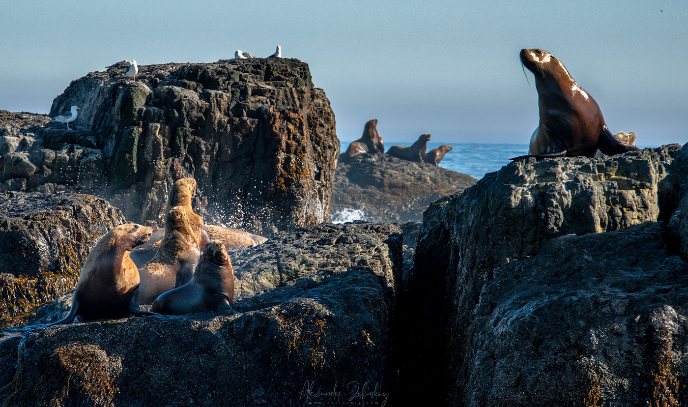 Семейный портрет