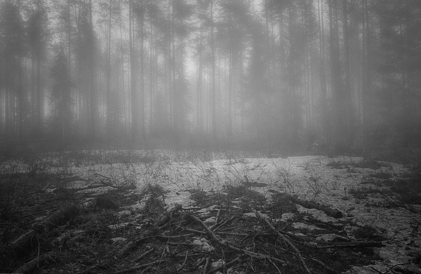 Последний снег