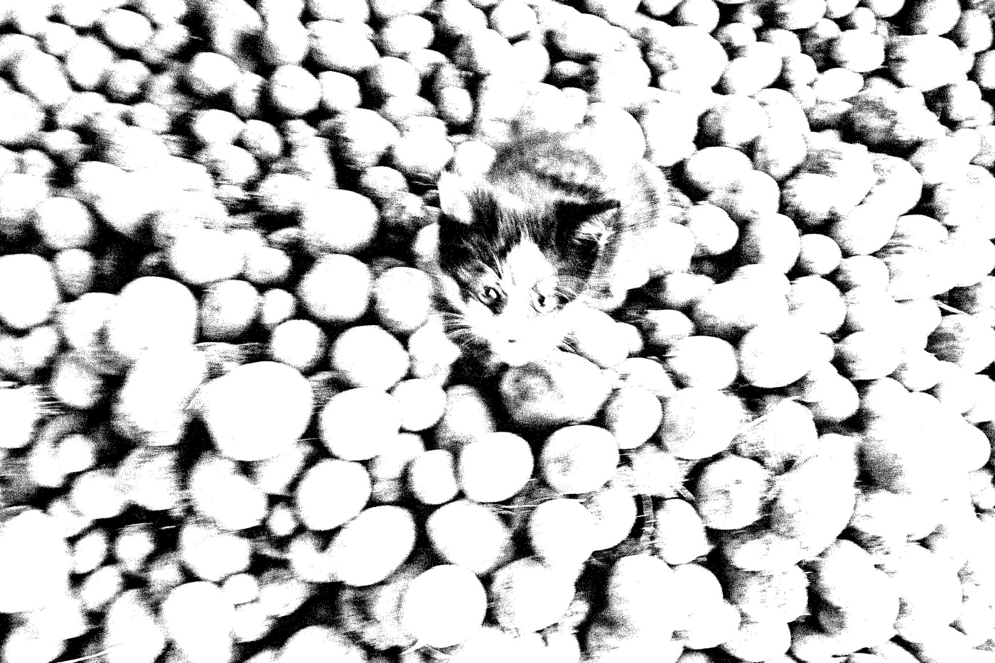 Жизнь вокруг