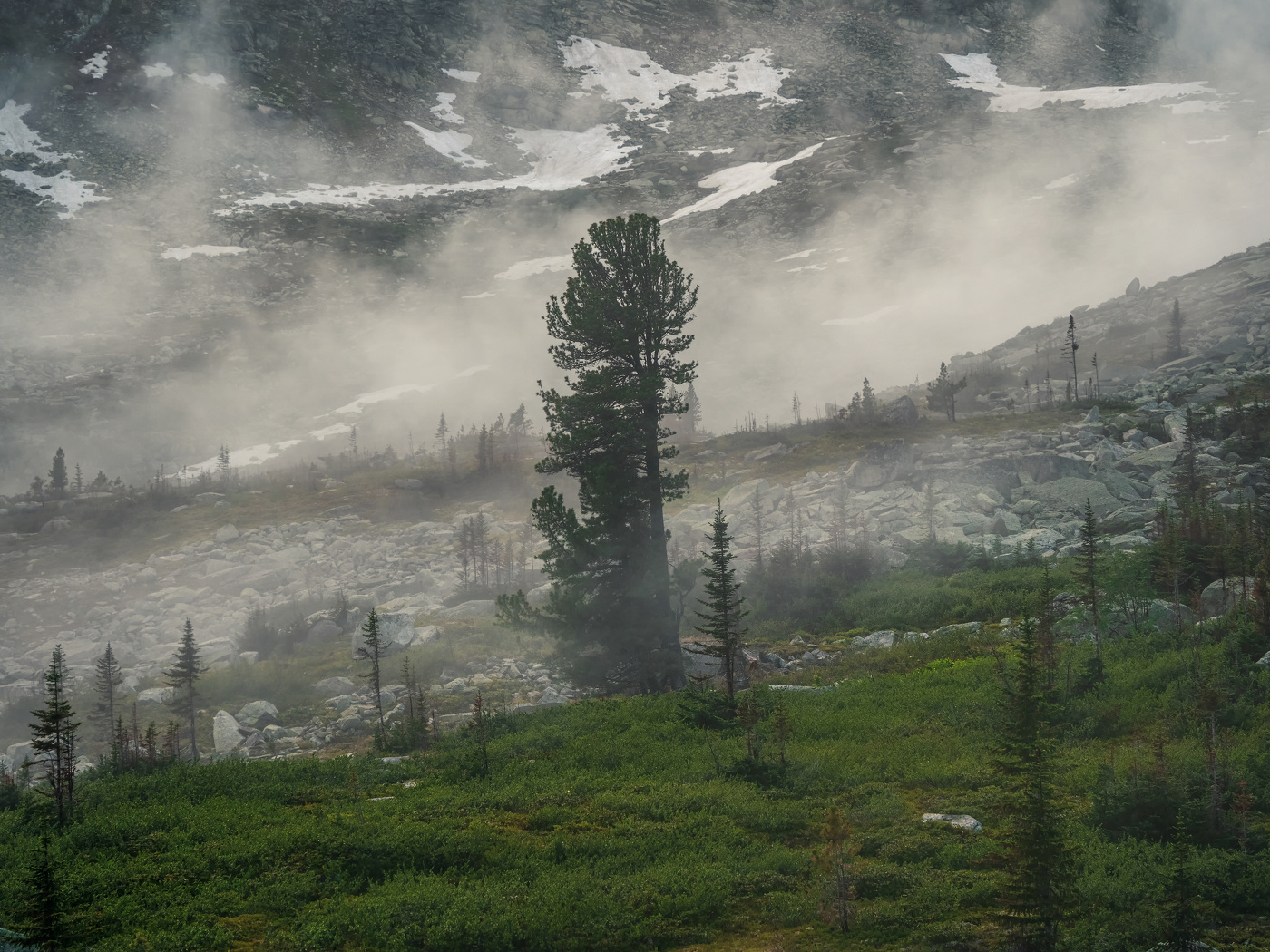 Одно ненастное утро в горной долине Черного озера. Природный парк Ергаки.