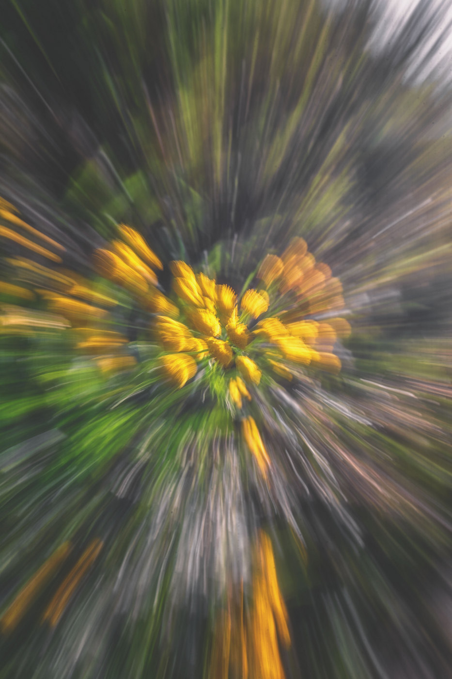 Жизнь вокруг