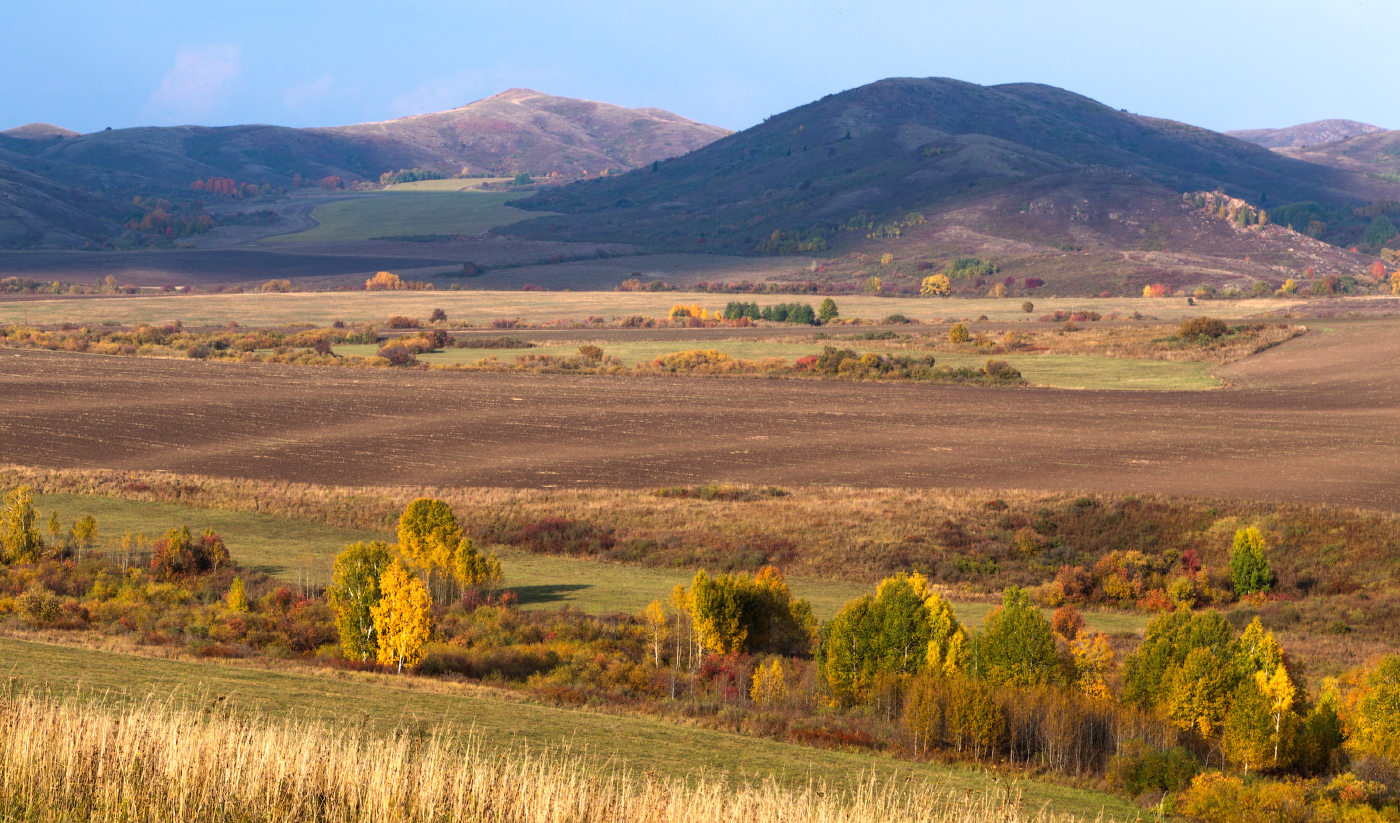 Осенний этюд