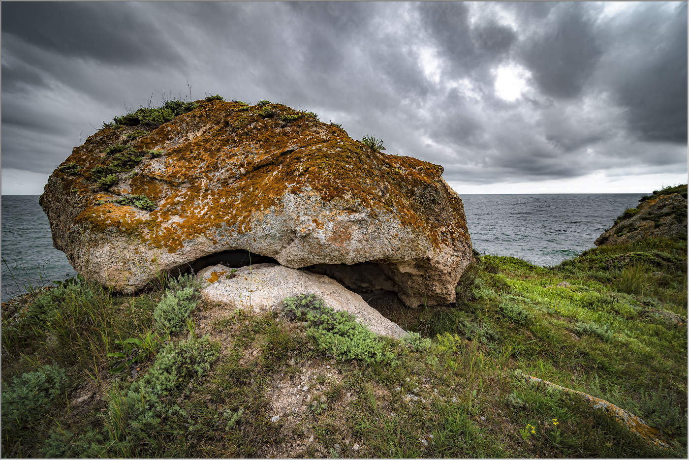 "Подазовник необыкновенный"