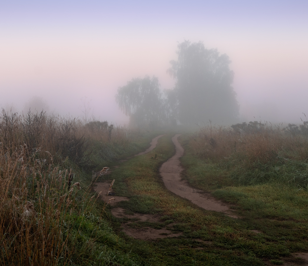 Дорога перед рассветом